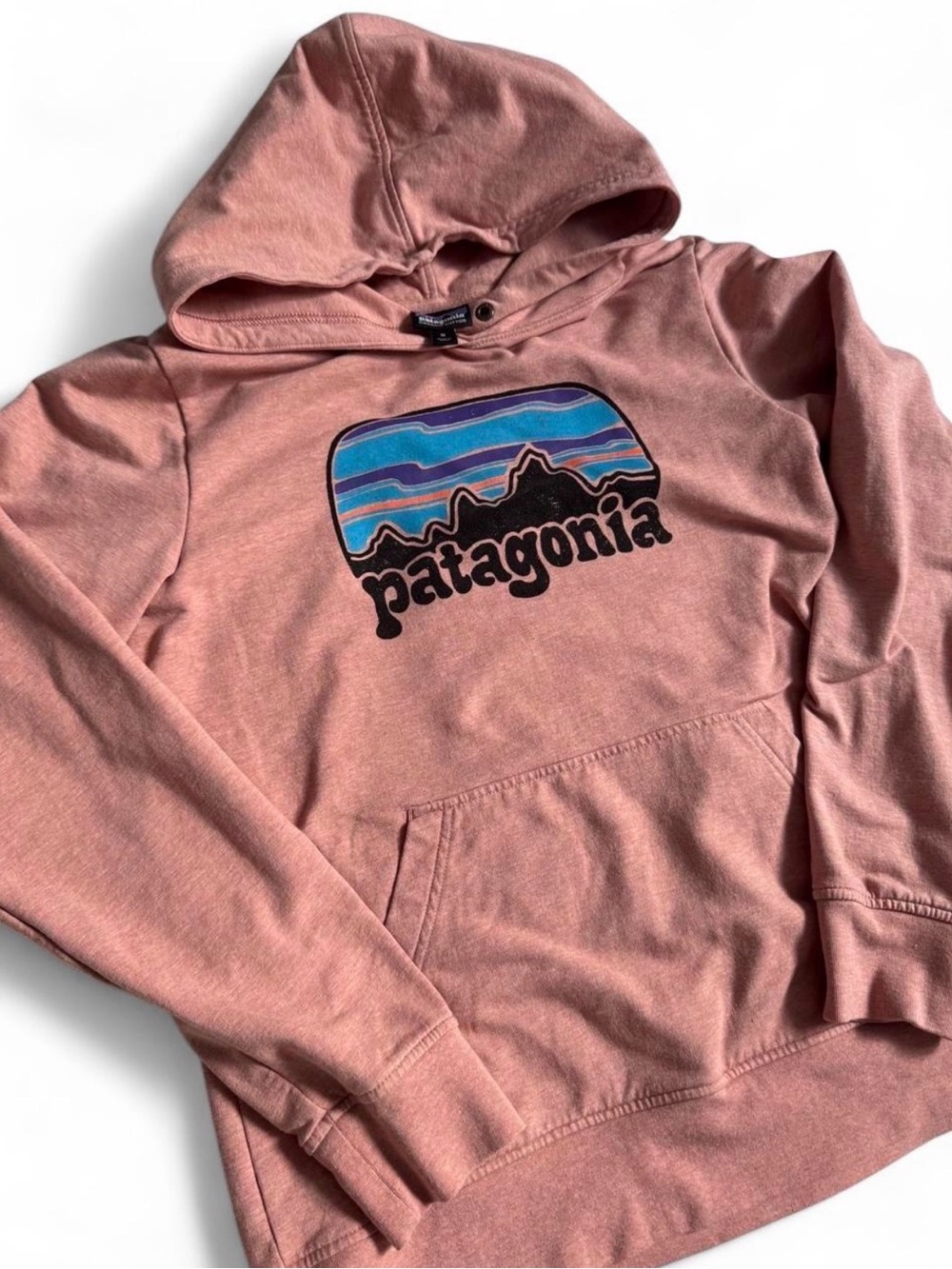 Patagonia Salmon Graphic Hoodie